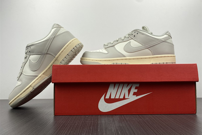 NIKE DUNK LOW  DD1503-107