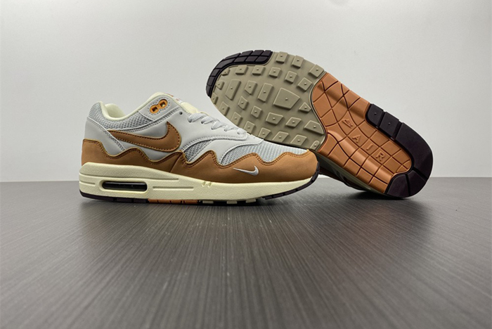 Nike Air Max 1 Patta DH1348-001
