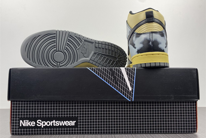 Dunk High DD9404-700