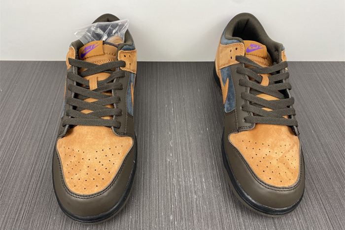 Nike Dunk Low “Cider” DH0601-001