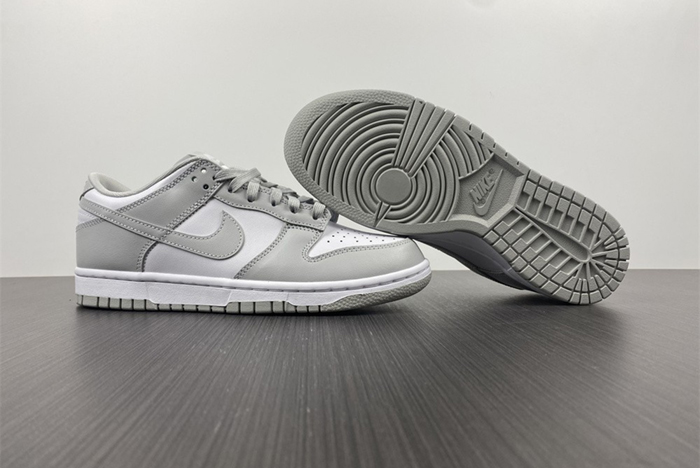 NIKE DUNK LOW RETRO DD1391-103