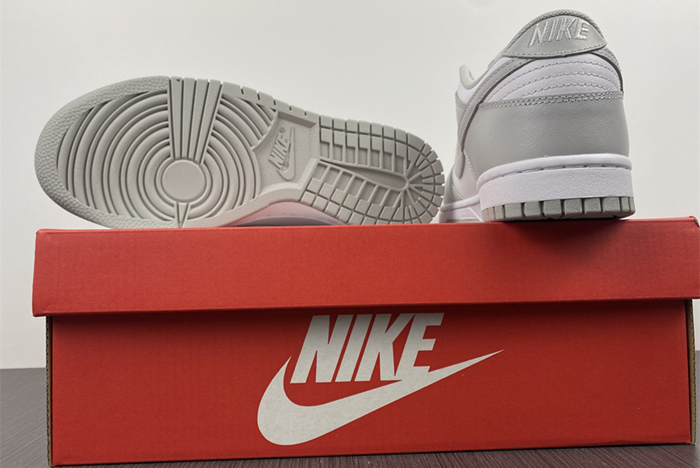 NIKE DUNK LOW RETRO DD1391-103