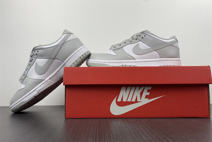 NIKE DUNK LOW RETRO DD1391-103