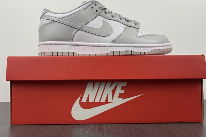 NIKE DUNK LOW RETRO DD1391-103