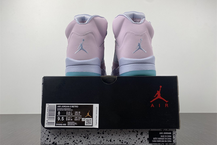 Air Jordan 5 DV0562-600
