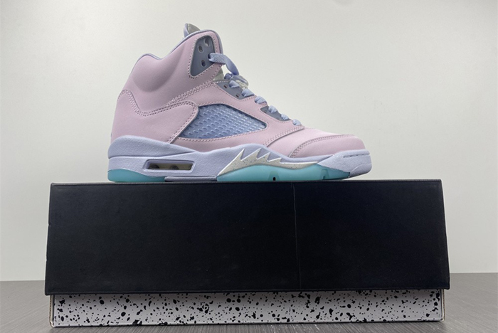 Air Jordan 5 DV0562-600