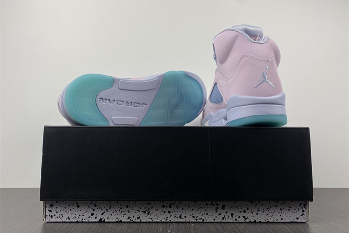 Air Jordan 5 DV0562-600