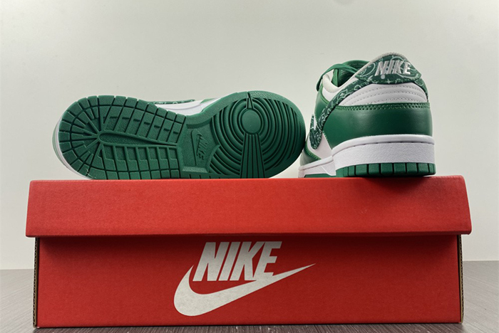 Nike Dunk Low SB DH4401-102