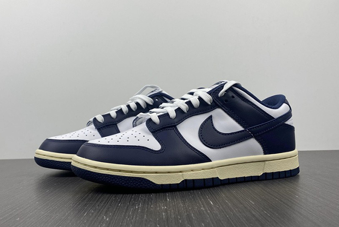 Nike Dunk Low DD1503-115