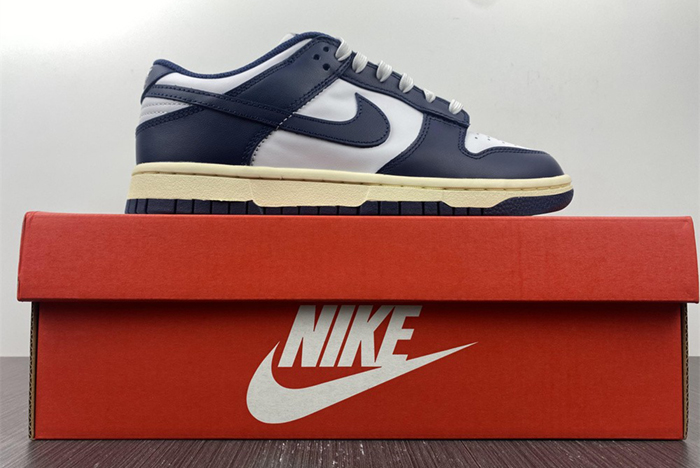 Nike Dunk Low DD1503-115