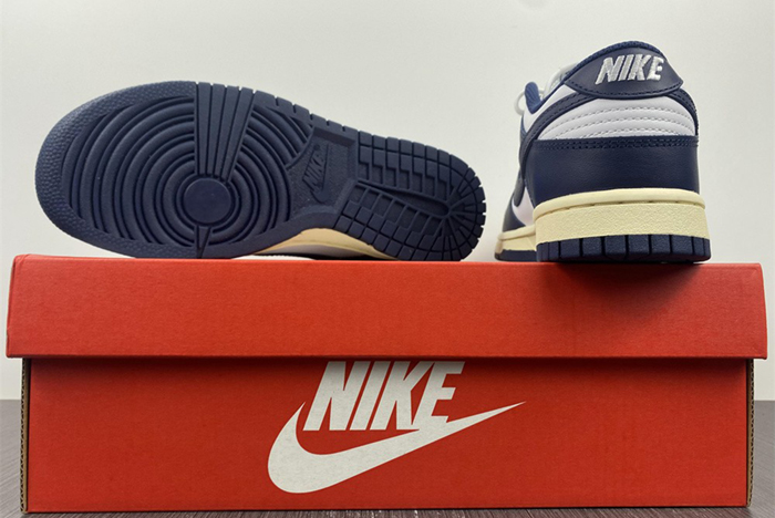 Nike Dunk Low DD1503-115