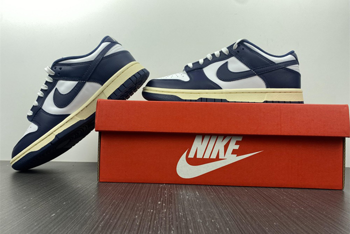 Nike Dunk Low DD1503-115