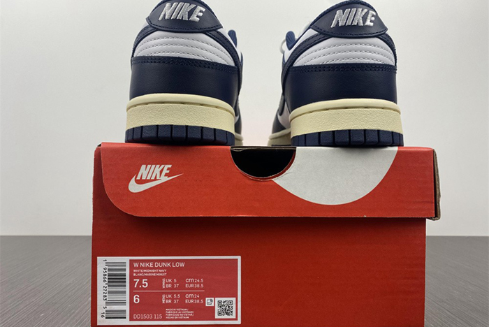 Nike Dunk Low DD1503-115