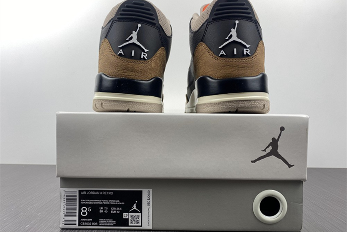 Air Jordan 3 “Desert Elephant” CT8532-008