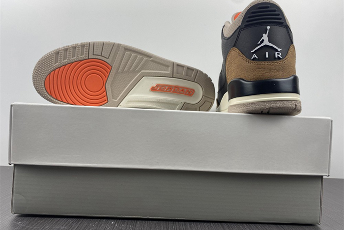 Air Jordan 3 “Desert Elephant” CT8532-008