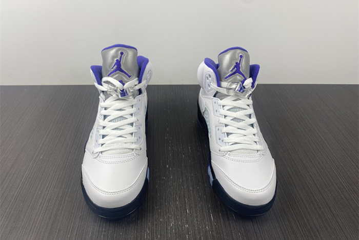 Air Jordan5 CONCORD DD0587-141