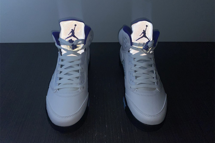 Air Jordan5 CONCORD DD0587-141