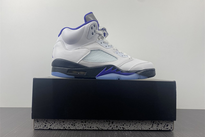 Air Jordan5 CONCORD DD0587-141