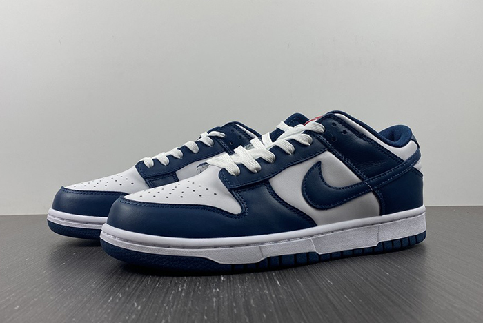 Nike dunk SB Low Retro Valerian Blue DD1391-400