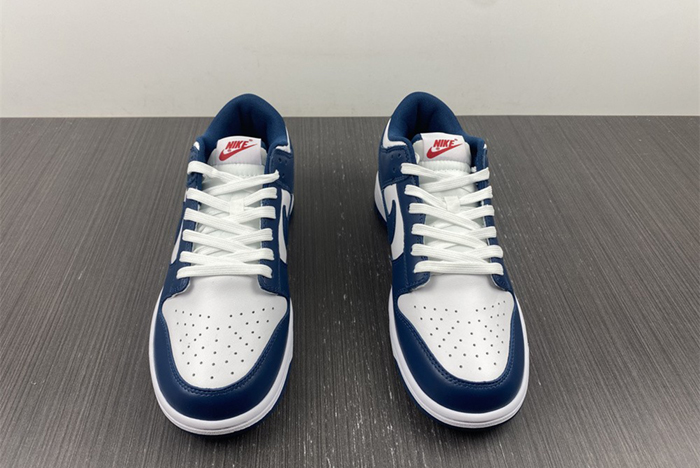 Nike dunk SB Low Retro Valerian Blue DD1391-400