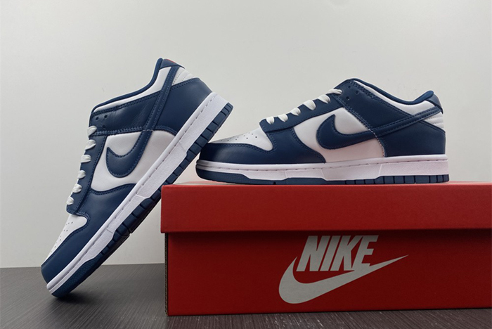 Nike dunk SB Low Retro Valerian Blue DD1391-400