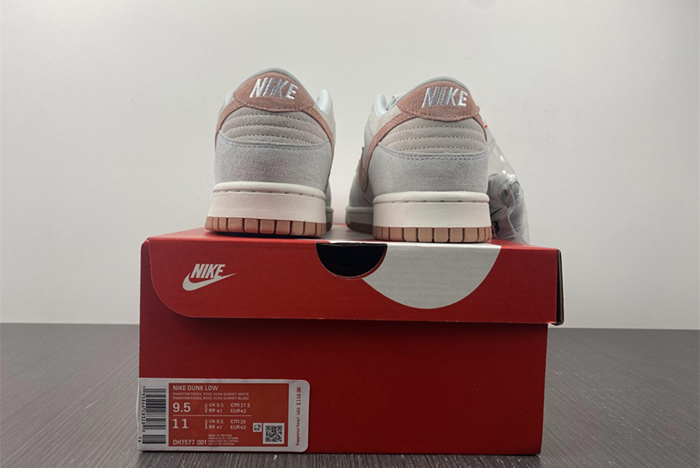 NIKE DUNK LOW  DH7577-001
