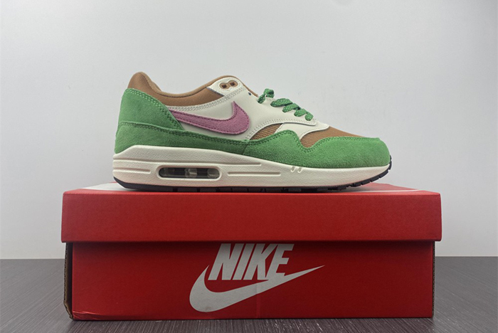 Nike Air Max 1 NH “Treeline” DR9773-300