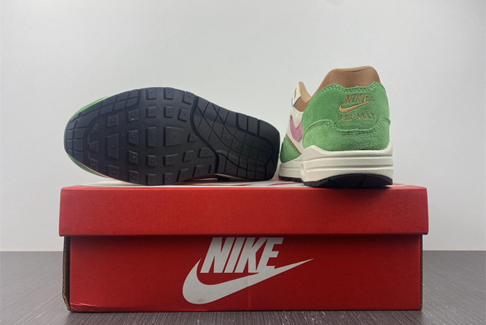 Nike Air Max 1 NH “Treeline” DR9773-300