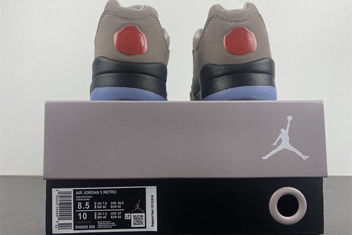 PSG-Air Jordan 5 Low DX6325-204