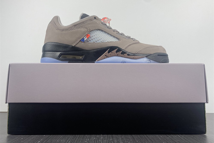 PSG-Air Jordan 5 Low DX6325-204