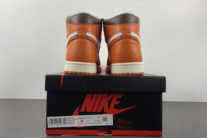 Air Jordan 1 High "Starfish" AJ1 DO9369-101