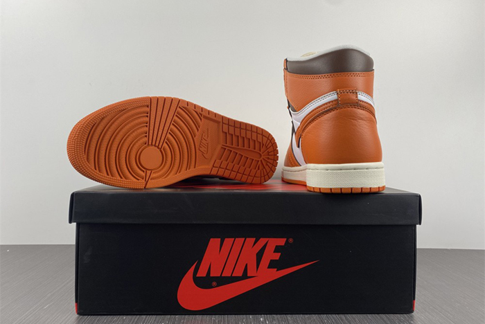 Air Jordan 1 High "Starfish" AJ1 DO9369-101