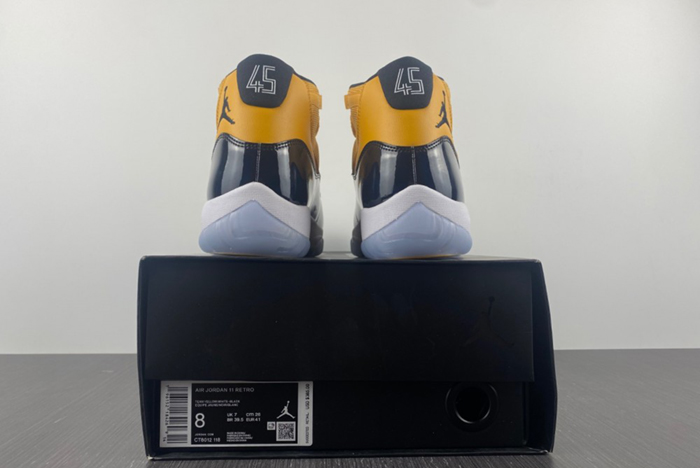 Air Jordan 11 CT8013-118