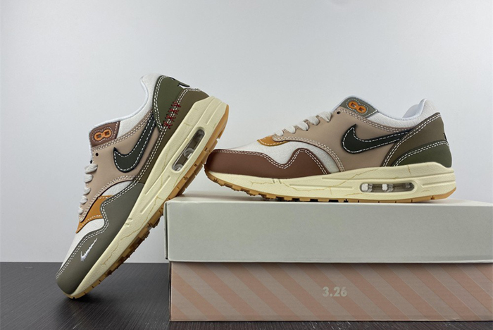 NIKE AIR MAX 1 PRM WABI-SABI  DQ8656-133