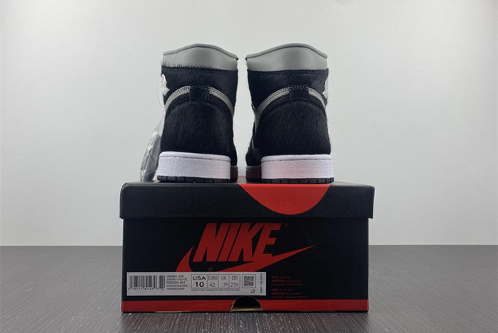 Air Jordan 1 High OG WMNS “Twist 2.0” DZ2523-001