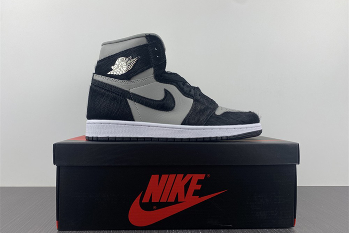 Air Jordan 1 High OG WMNS “Twist 2.0” DZ2523-001