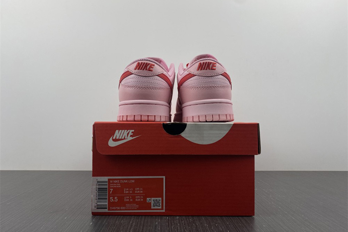 Nike Dunk Low DH9756-600