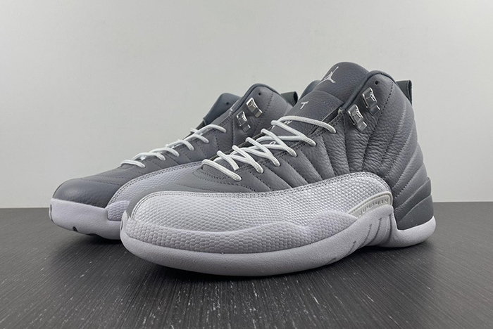 Air Jordan 12 STEALTH CT8013-015