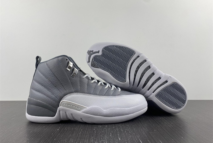 Air Jordan 12 STEALTH  CT8013-015