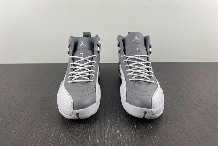 Air Jordan 12 STEALTH  CT8013-015