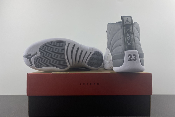Air Jordan 12 STEALTH  CT8013-015