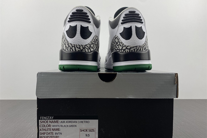 Air Jordan 3 retro oregon pitcrew 594282-233