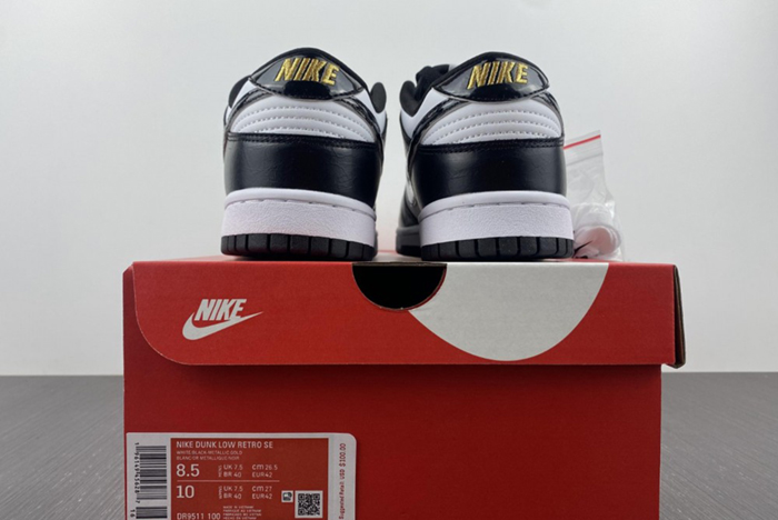 Nike Dunk Low DR9511-100