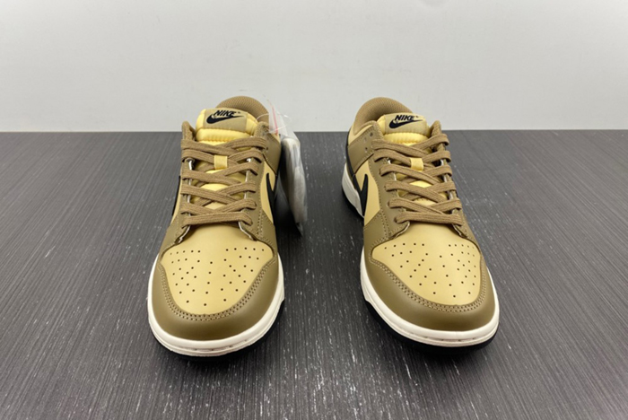 Dunk Low "Dark Driftwood" DD1503-200