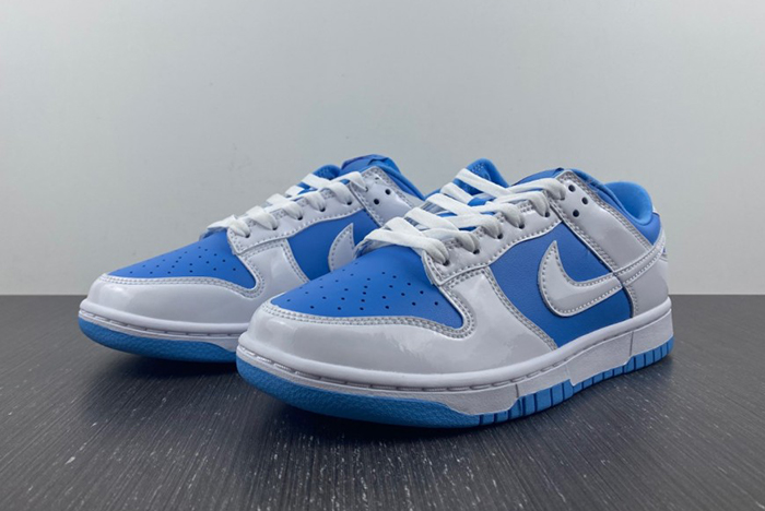 NIKE Dunk Low ESS DJ9955-101