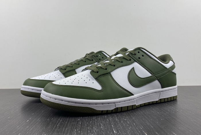 NikeDunk Low DD1503-120