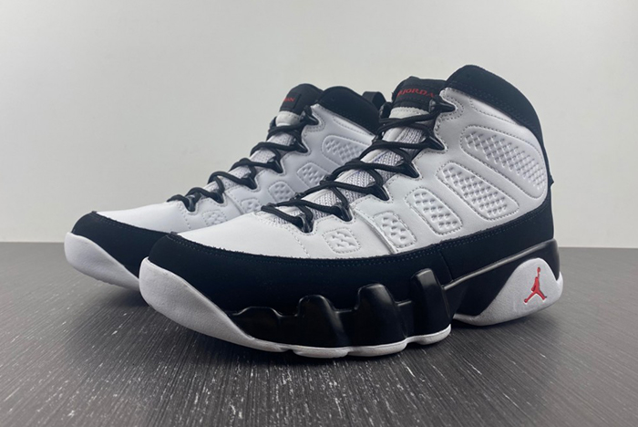 Air Jordan 9 302370-112