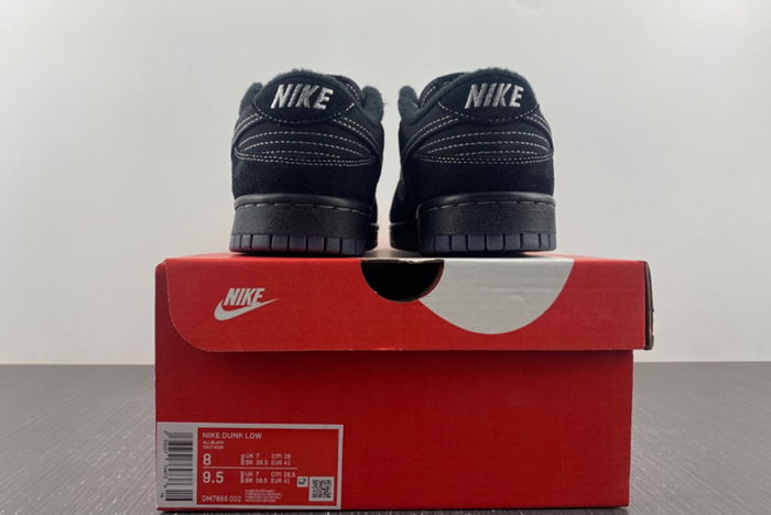 Nike Dunk Low DM7866-002