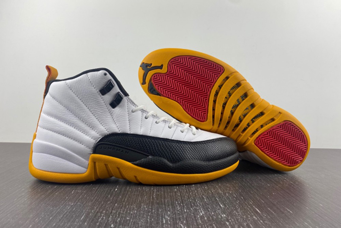 Air Jordan 12 Retro AJ12  DR8887-100