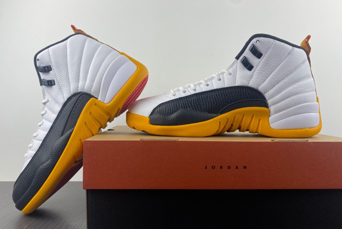 Air Jordan 12 Retro AJ12  DR8887-100